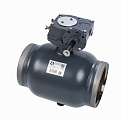 065N0166GR RJIP Premium Кран шаровой WW DN300 PN25 WG (приварной, с редуктором, С/П), Ридан